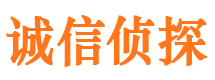 驿城外遇调查取证